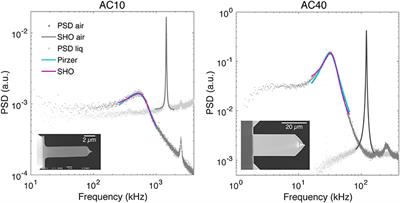 One-Step Calibration of AFM in Liquid